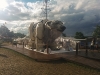 IMG_20140627_183603.JPG