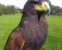 IMG_20131006_122611.JPG