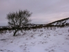 20160222-IMG_7232.JPG