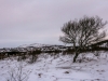 20160222-IMG_7234.JPG
