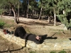pano_20121222_151307