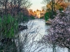 IMG_9192-4