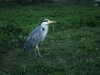 IMG_9199-Edit-Edit-8