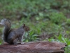 IMG_3129.JPG