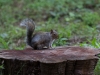 IMG_3131.JPG