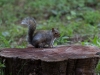IMG_3132.JPG