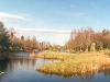 PANO_20150307_142924.JPG